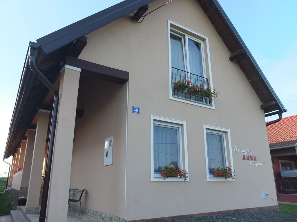 Country house Baranjski Tulipan *