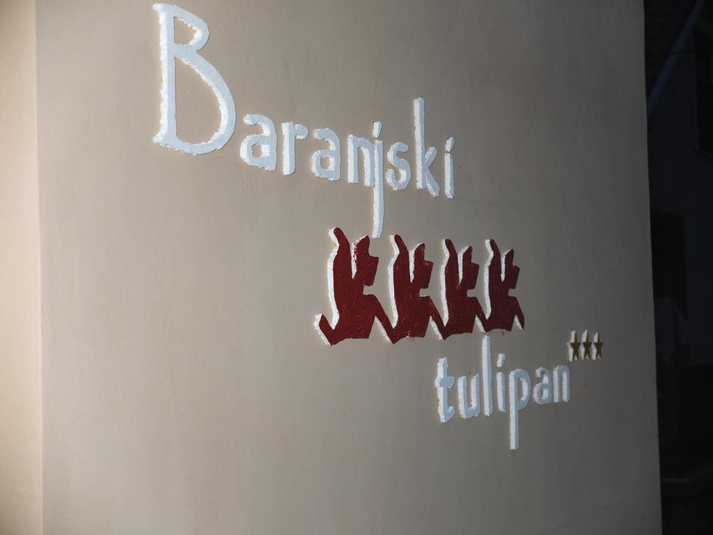 Country house Baranjski Tulipan
