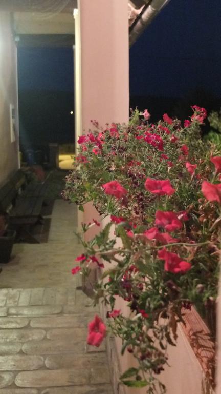 Country house Baranjski Tulipan Draz