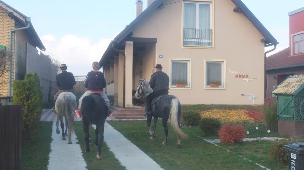 Country house Baranjski Tulipan