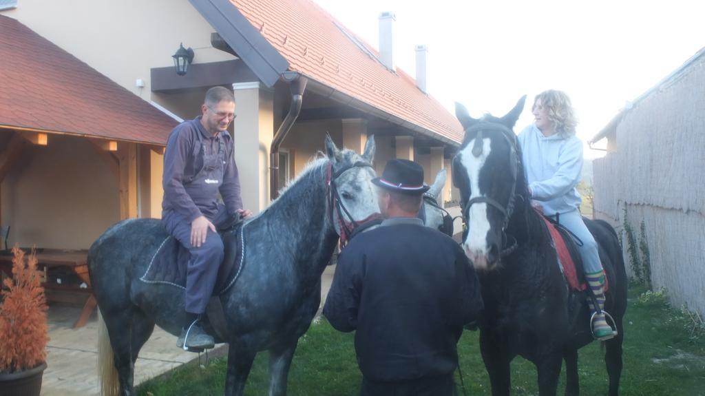 Baranjski Tulipan Draz